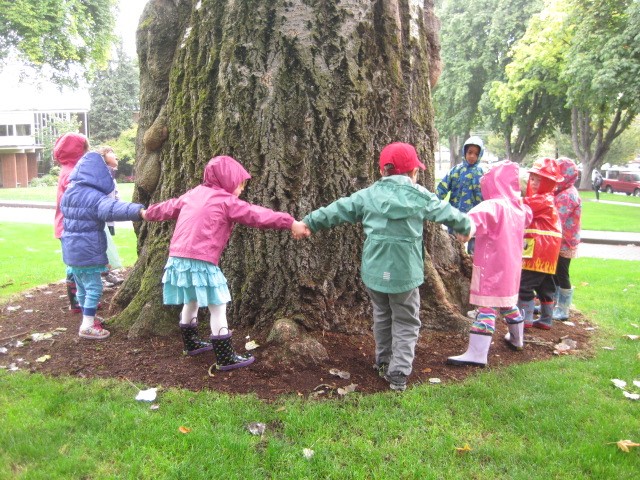 tree hugging
