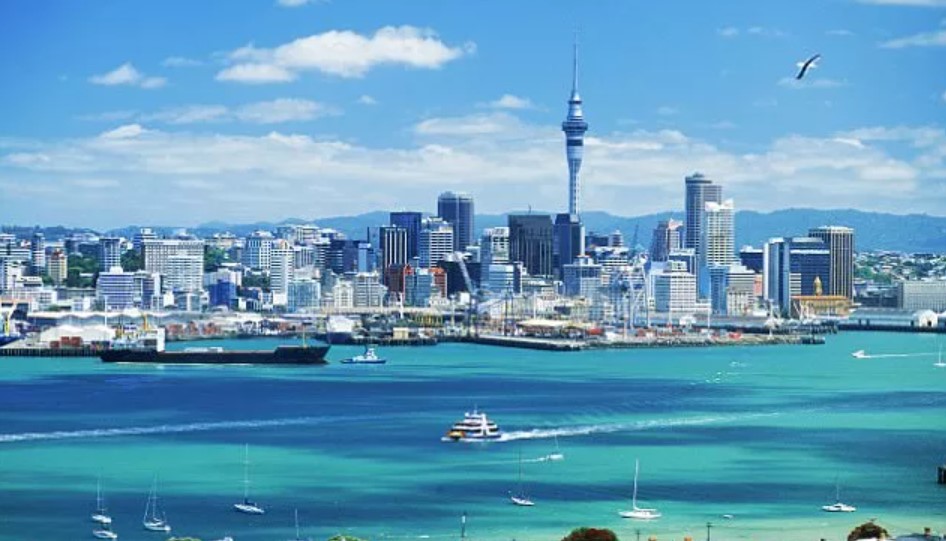 nz study tours